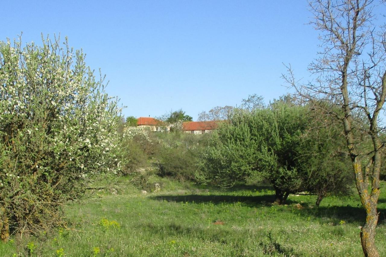 فيلا Stone House In A Quiet Landscape, Leonidion المظهر الخارجي الصورة